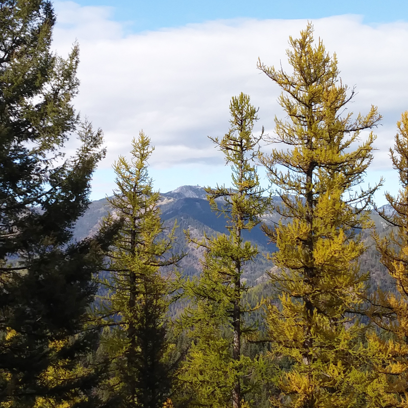 Point Six Peak view from Missoula, Montana